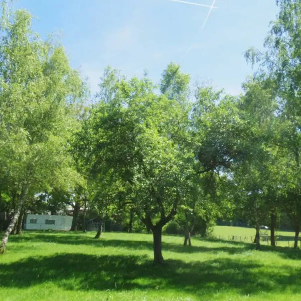 camping-aire-naturelle-de-chatard-louis-viriat-ql43e