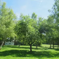 camping-aire-naturelle-de-chatard-louis-viriat-ql43e