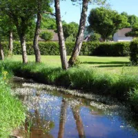 du-ternin-lucenay-leveque-morvan-6dttc