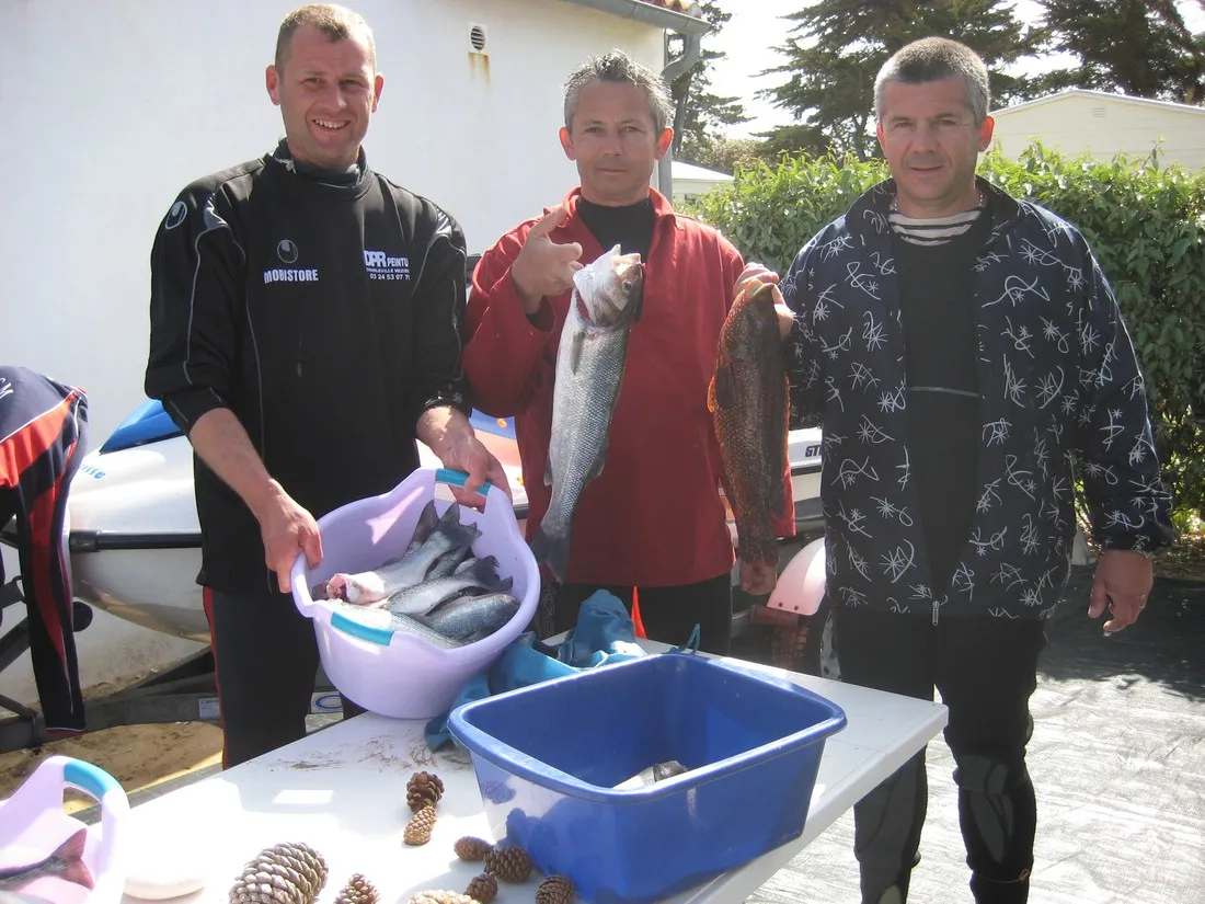 essi-ars-en-re-charente-maritime-yynna