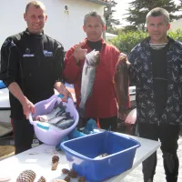 essi-ars-en-re-charente-maritime-yynna