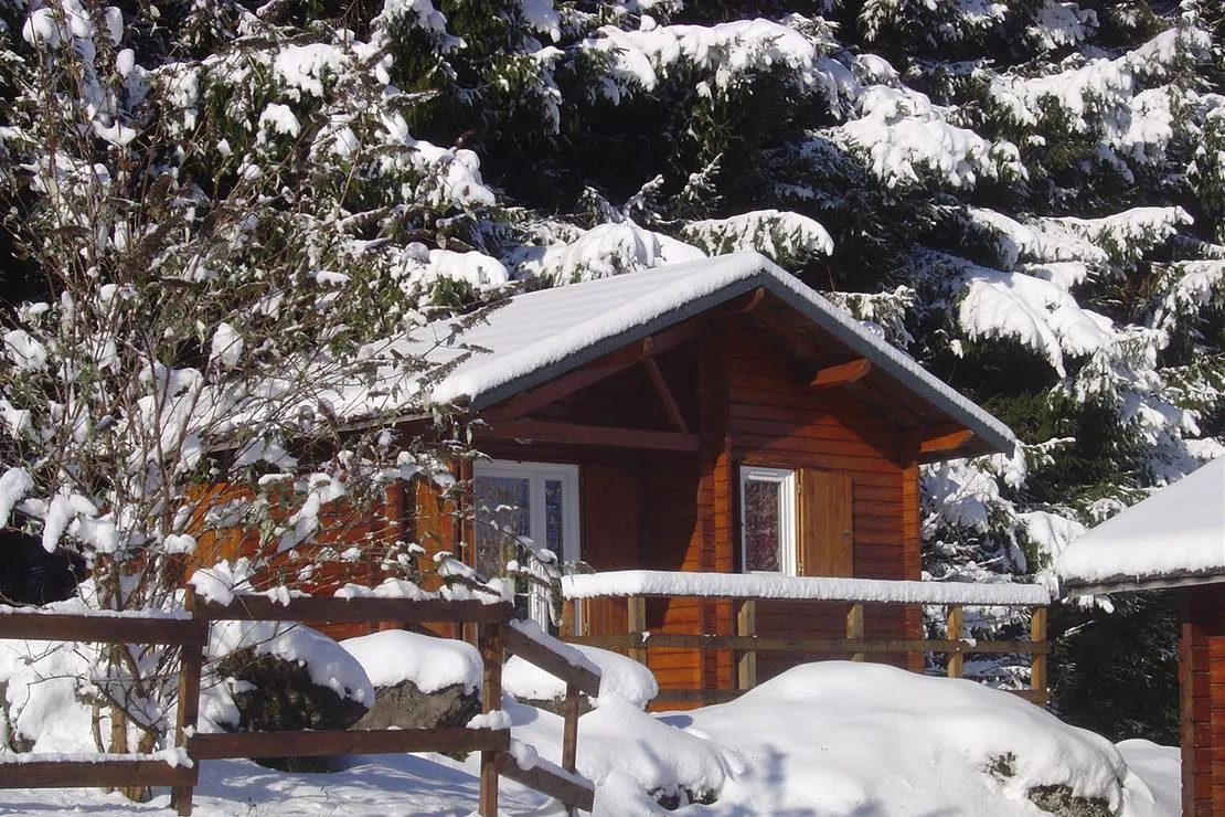 camping-du-bois-de-graviere-besse-sainte-anastaise-1aoba