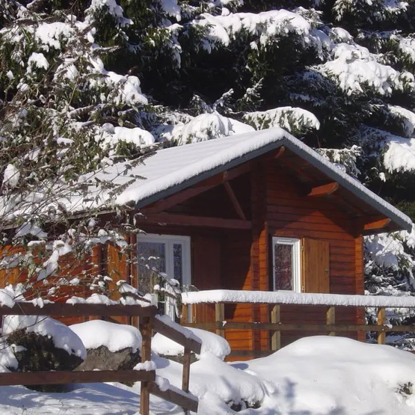 camping-du-bois-de-graviere-besse-sainte-anastaise-1aoba