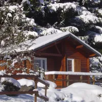 camping-du-bois-de-graviere-besse-sainte-anastaise-1aoba