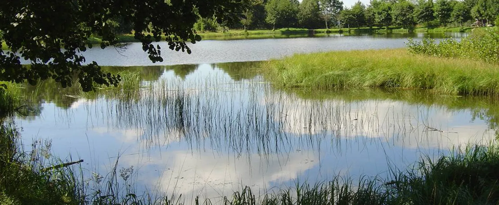 Camping du Bois de Gravière