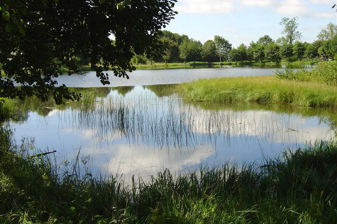 camping-du-bois-de-graviere-besse-sainte-anastaise-qbpki