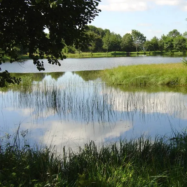 camping-du-bois-de-graviere-besse-sainte-anastaise-qbpki
