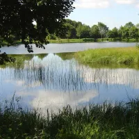 camping-du-bois-de-graviere-besse-sainte-anastaise-qbpki
