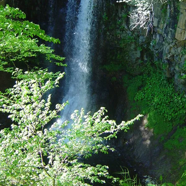 camping-du-bois-de-graviere-besse-sainte-anastaise-xjq3g