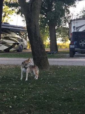 d-w-lake-camping-rv-park-champaign-m3cv4