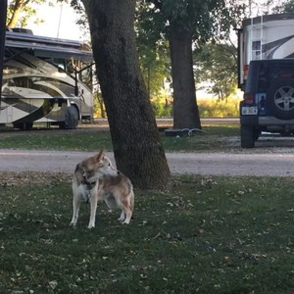 D & W Lake Camping & RV Park