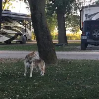 d-w-lake-camping-rv-park-champaign-m3cv4
