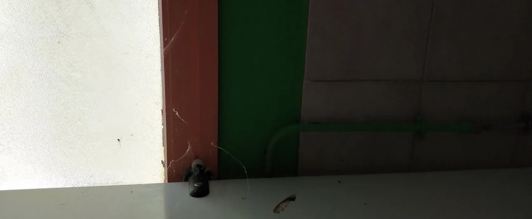 L'Ambroisiere