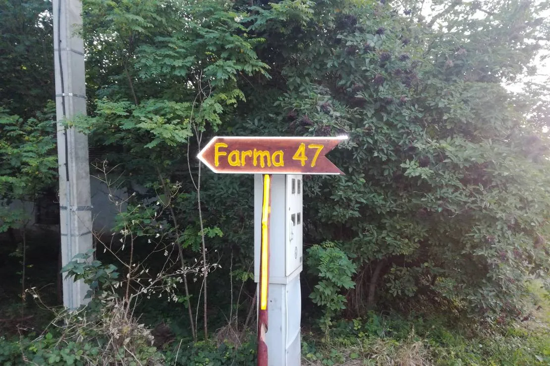 salas-farma-47-cenej-novi-sad-mgq08