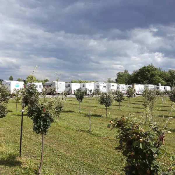 salas-farma-47-cenej-novi-sad-wylrx
