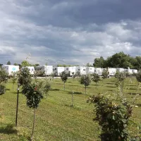 salas-farma-47-cenej-novi-sad-wylrx