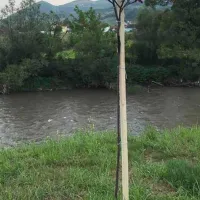 autocamp-visoko-visoko-zstb0