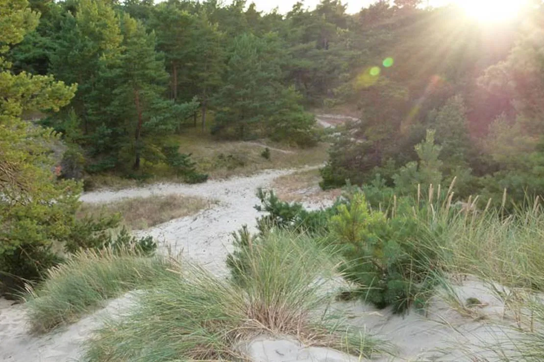 borrbystrand-camping-borrby-4b8i0
