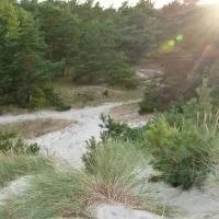 borrbystrand-camping-borrby-4b8i0