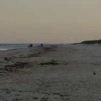borrbystrand-camping-borrby-lkdnh