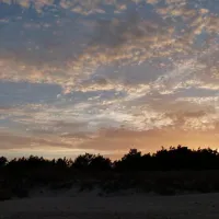 borrbystrand-camping-borrby-q1fq5