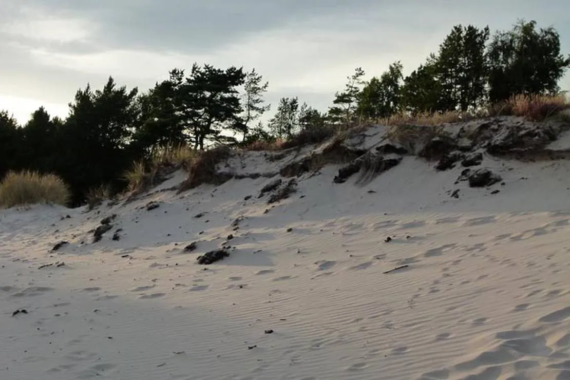borrbystrand-camping-borrby-wfgsm