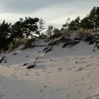 borrbystrand-camping-borrby-wfgsm