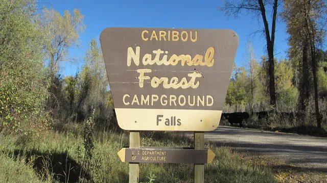 falls-campground-swan-valley-ypov0