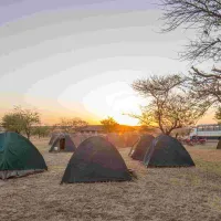 Camp Gecko - Orange Campsite