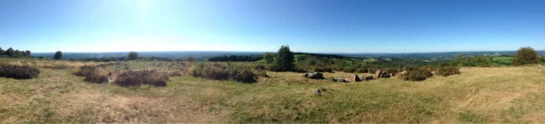 chateau-bellegarde-des-fleurs-chateauneuf-la-foret-r1rsc