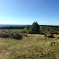 chateau-bellegarde-des-fleurs-chateauneuf-la-foret-r1rsc