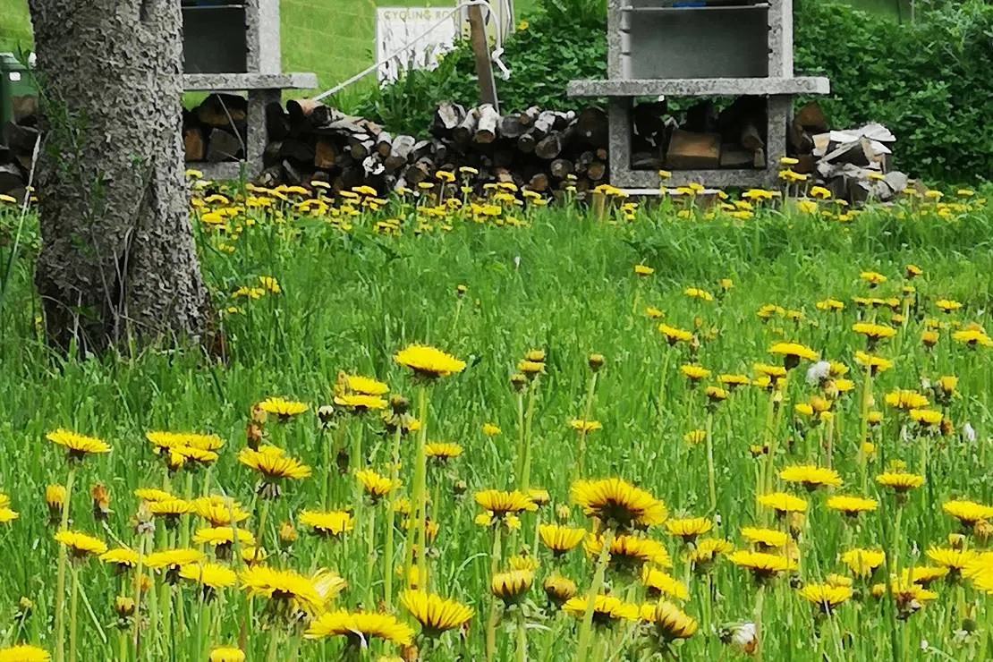 green-park-camping-kamna-gorica-npjt3
