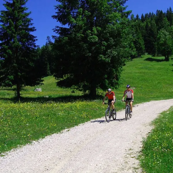 green-park-camping-kamna-gorica-udla7