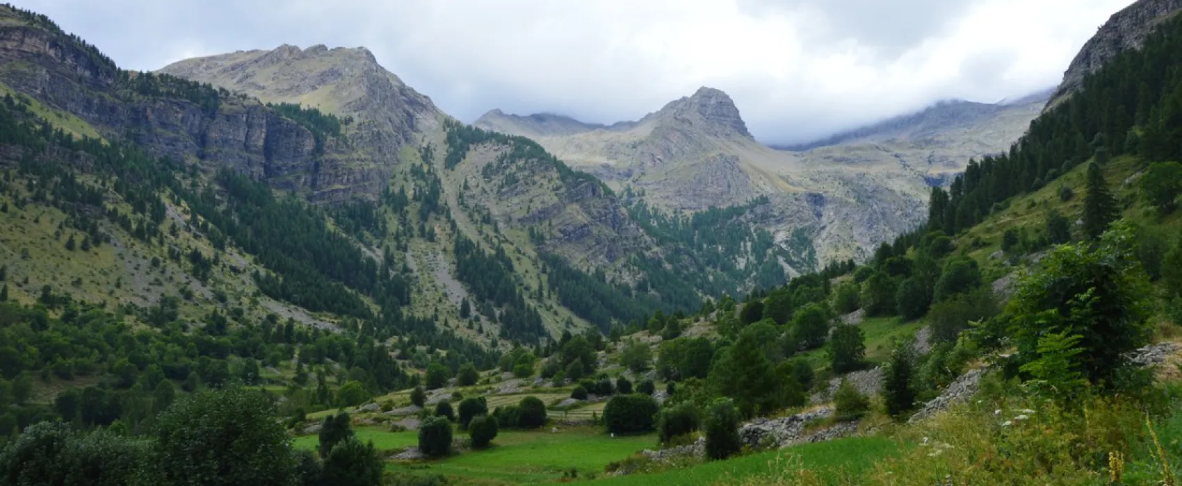 Les Bonnets