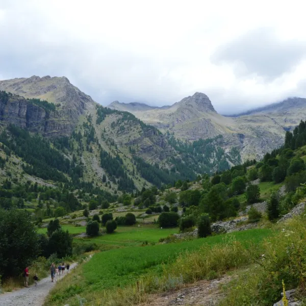 les-bonnets-neffes-knri5