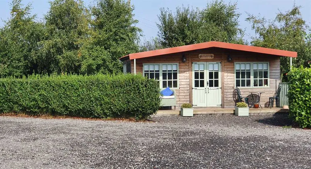 marshland-alpacas-certificated-site-new-holland-4o9lx