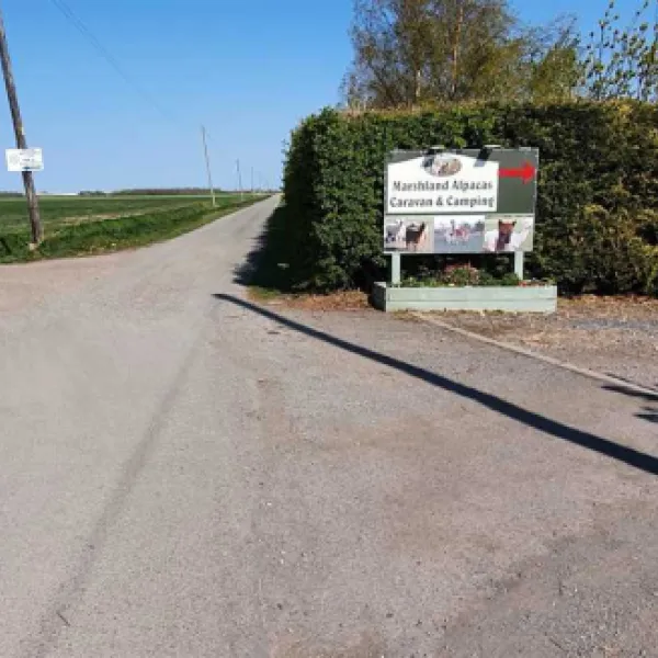 marshland-alpacas-certificated-site-new-holland-lzbu9