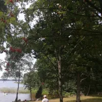 mjolknabbens-camping-urshult-f3dac