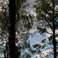 mjolknabbens-camping-urshult-kxdko