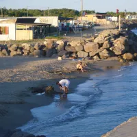 roucan-plage-vias-plage-lhp16