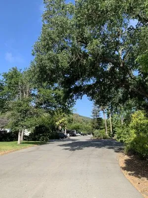 uvas-pines-rv-park-morgan-hill-hhytr