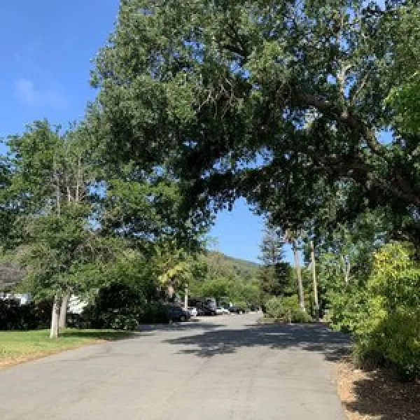 uvas-pines-rv-park-morgan-hill-hhytr