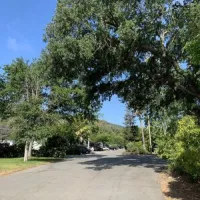 uvas-pines-rv-park-morgan-hill-hhytr