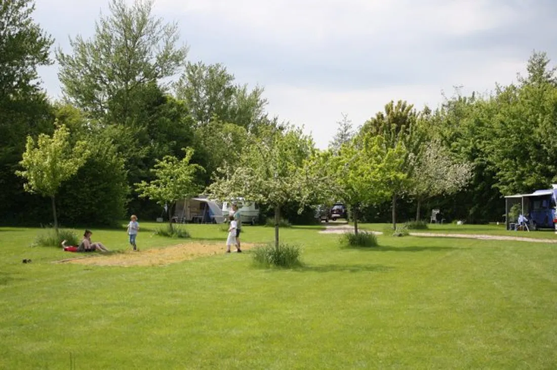 robersum-vierhuizen-ftseh