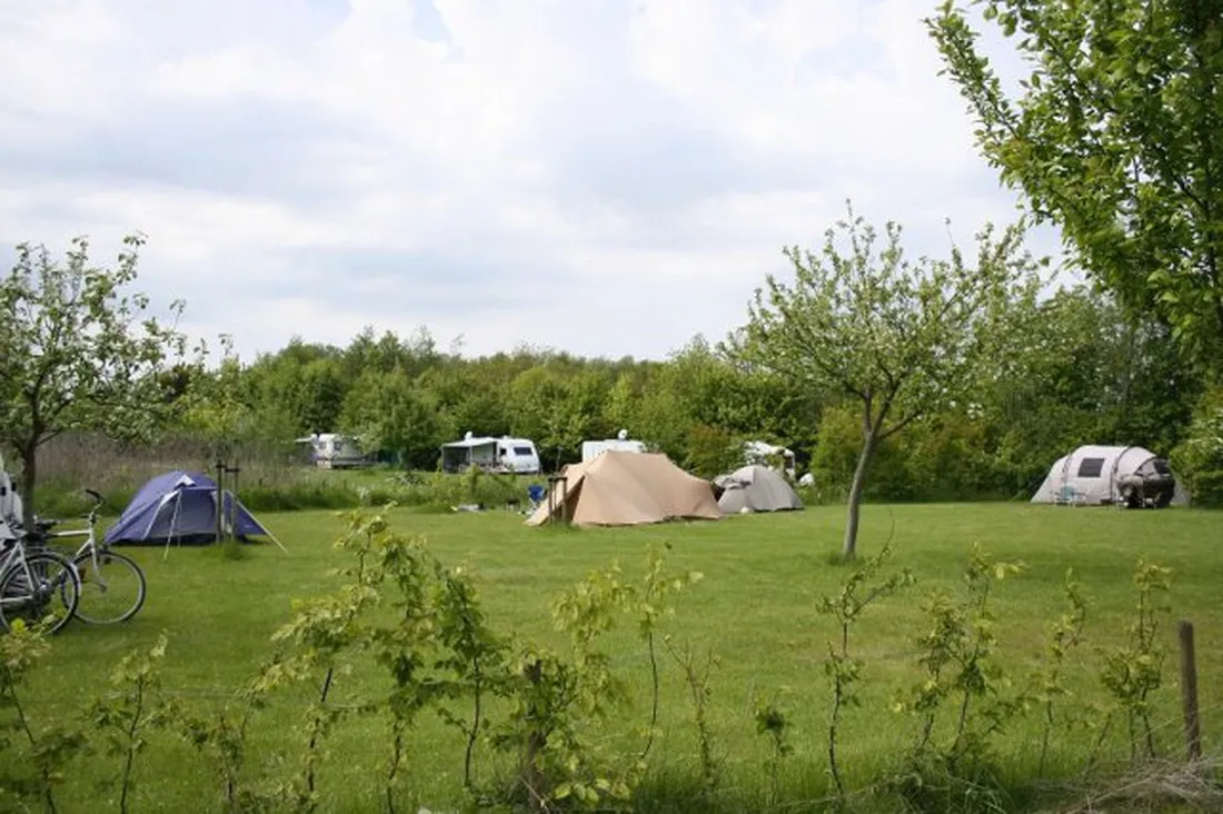 robersum-vierhuizen-yjdfp
