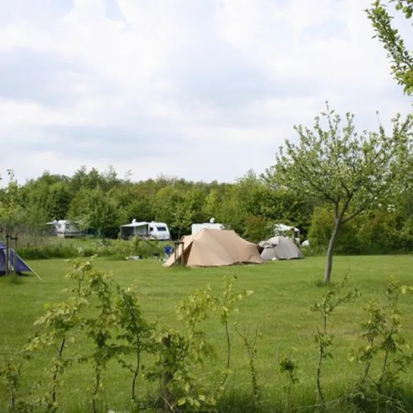 robersum-vierhuizen-yjdfp