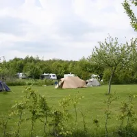 robersum-vierhuizen-yjdfp