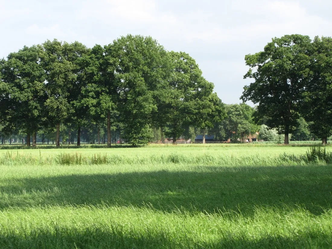 minicamping-t-gagel-lochem-lfwvq