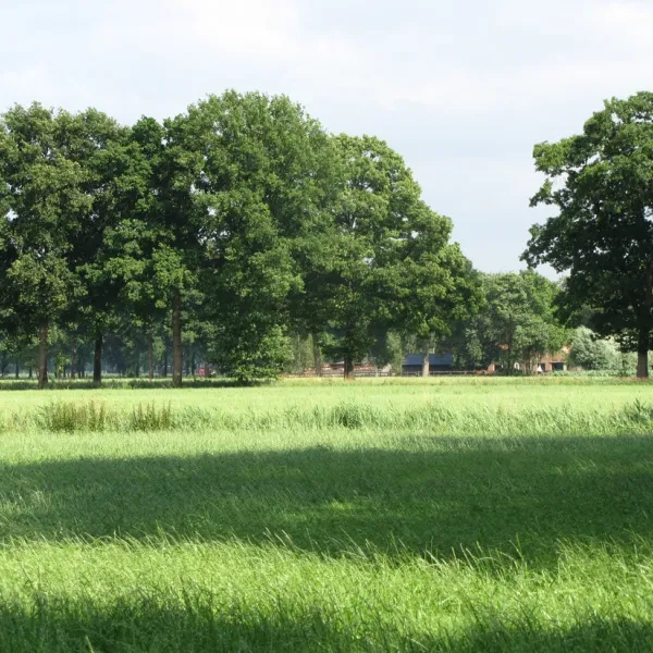 minicamping-t-gagel-lochem-lfwvq