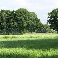 minicamping-t-gagel-lochem-lfwvq